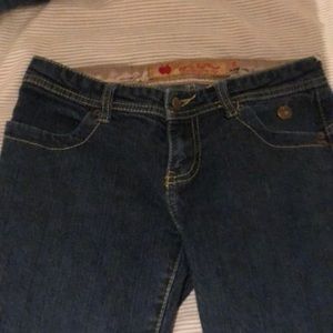 vintage rhinestone embroidered apple bottom jeans